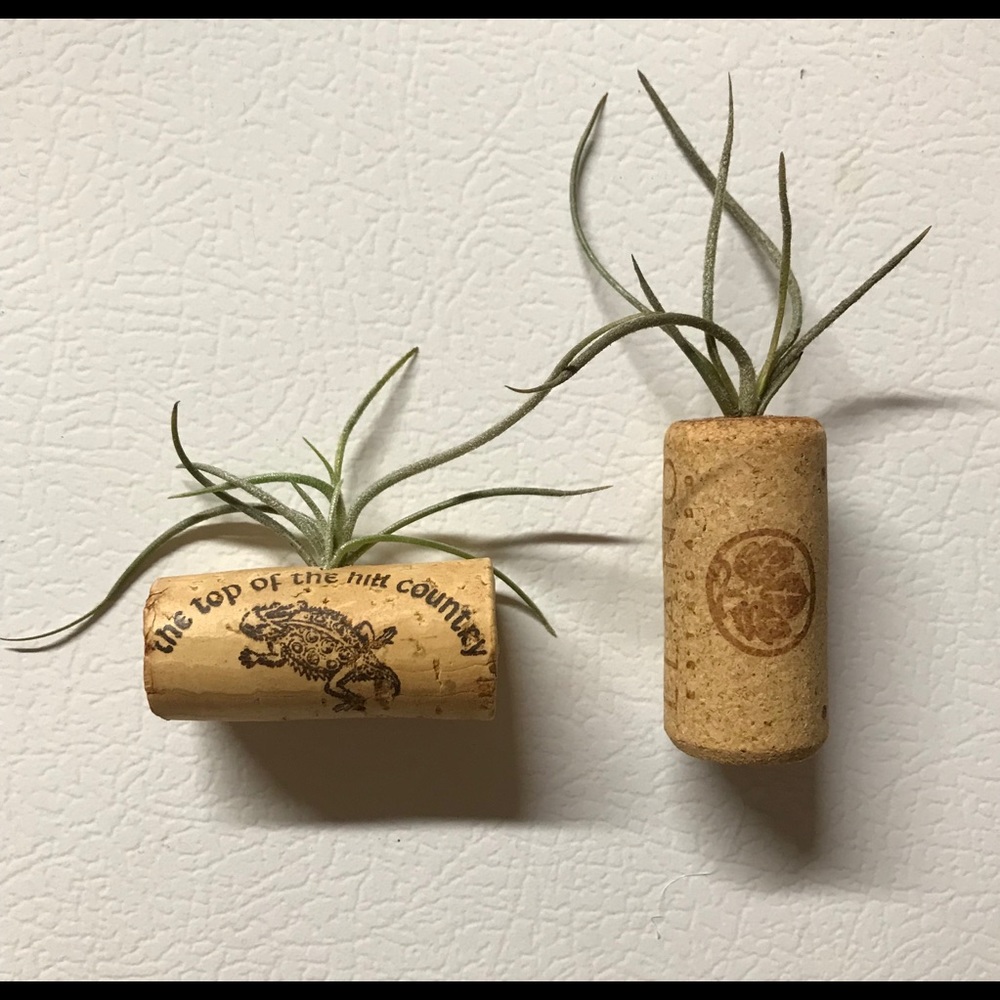 Wine cork airplant magnets